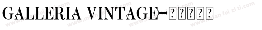 Galleria Vintage字体转换